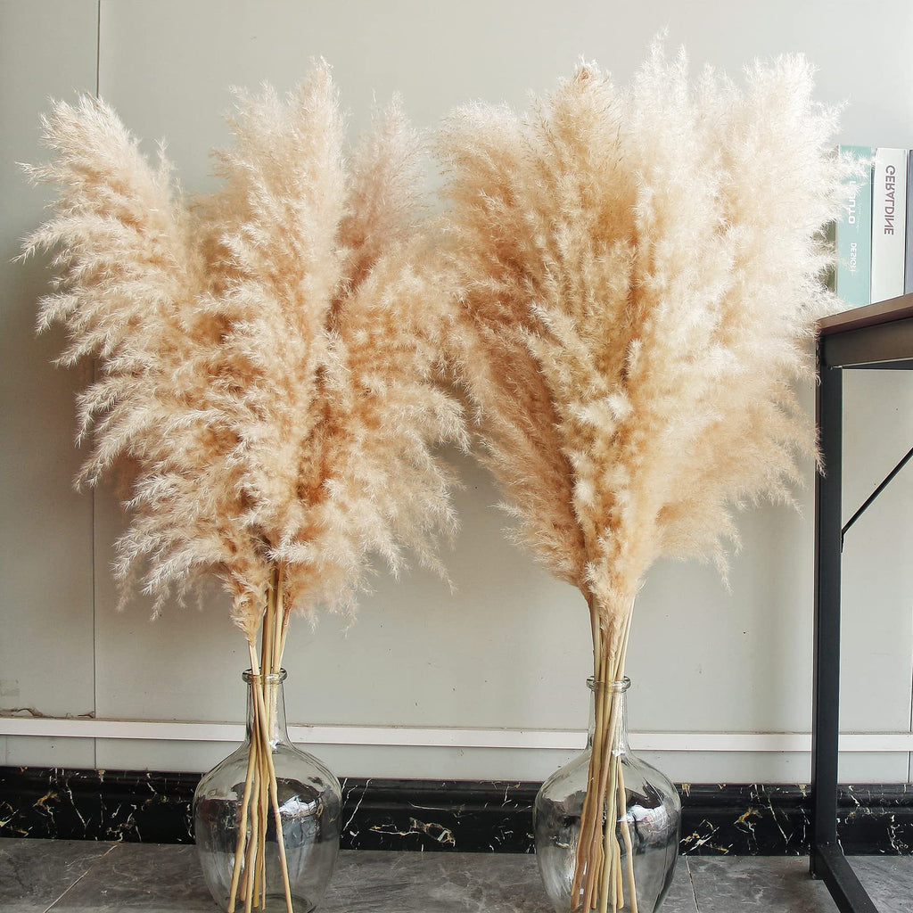 Natural Pampas Grass – 10 Stems 40" | Boho Home Decor