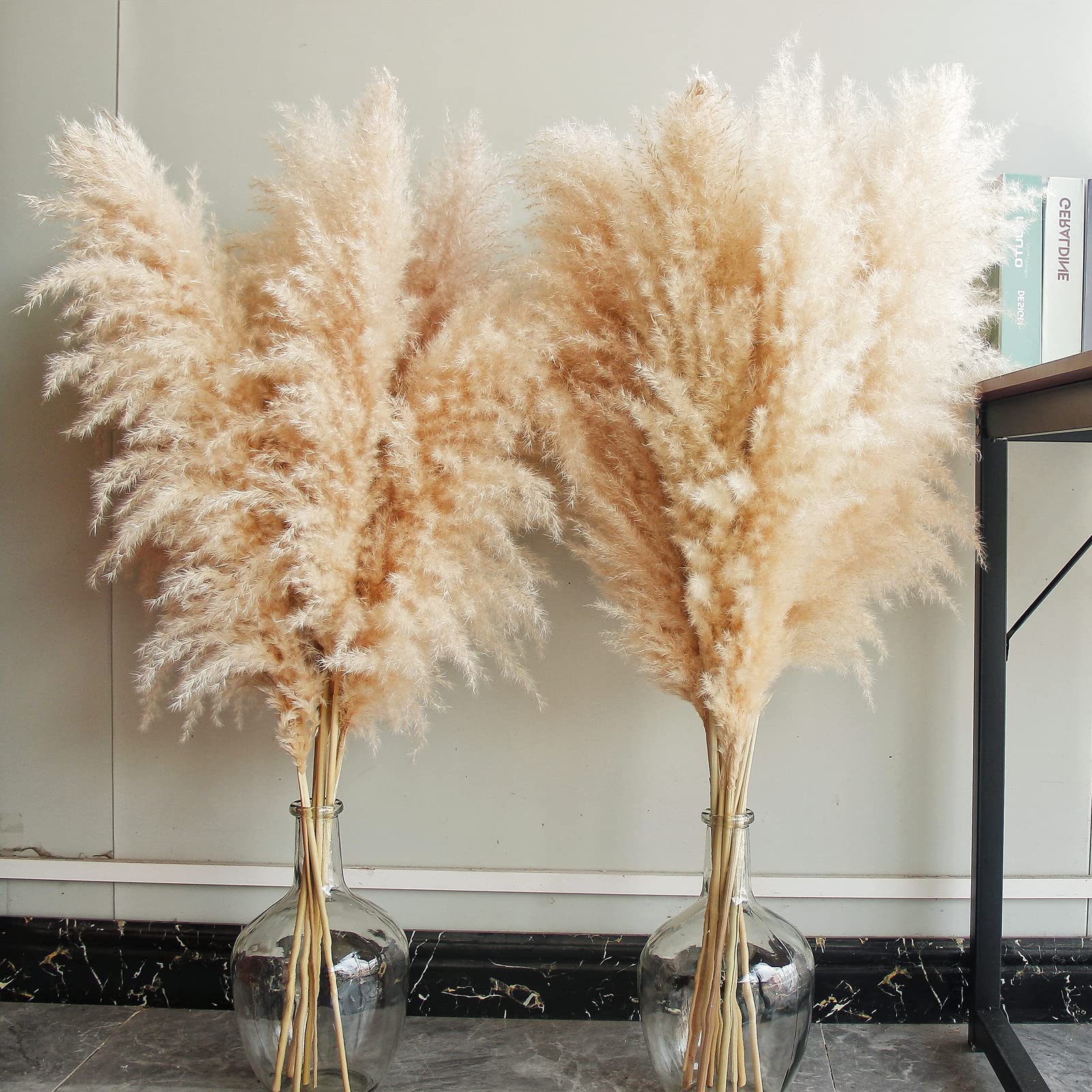 Natural Pampas Grass – 10 Stems 40" | Boho Home Decor